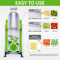 Mandoline (10 in One)