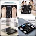 Digital Body Weight Scale