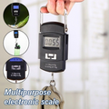 Multipurpose Electronic Scale
